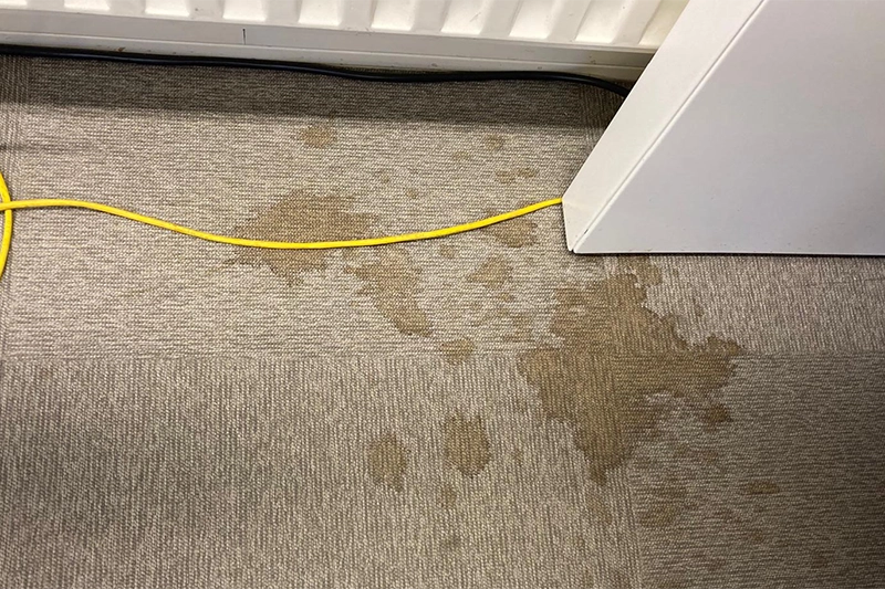 Tapijt reinignen - voor - schoonmaakbedrijf LJ de Vries